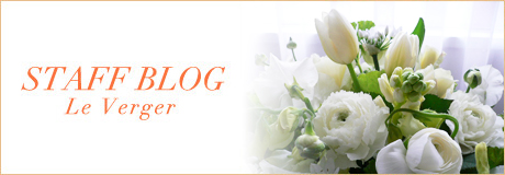 STAFF BLOG Le Verger ラ・ベルジェのスタッフブログを皆様にご紹介いたします。